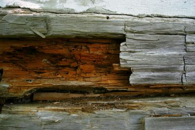 Dry Rot Repair Service detail