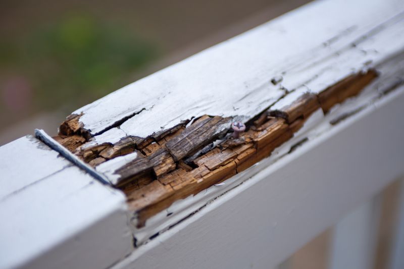 Dry Rot Repair Service detail
