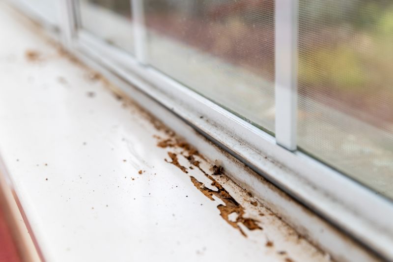 Window Rot Repair detail