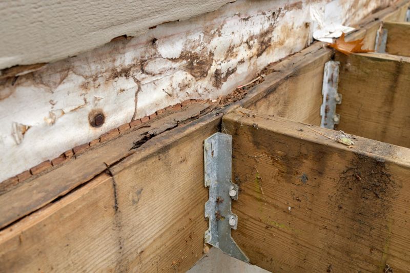 Structural Rot Repair