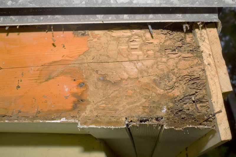Structural Rot Repair
