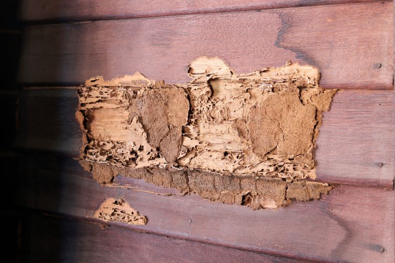 Termite Damage Restoration