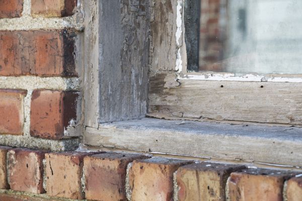 Decayed Wood Replacement in Allen
